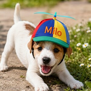 May include: A multi-colored baseball cap featuring red, blue, and yellow panels with a green brim. The cap has the name Milo embroidered in orange on the front and a light blue plastic propeller attached to the top with small colorful beads.