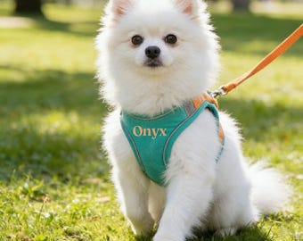 Personalized Dog Harness No Pull Soft Padded Dog Vest Harness, Step In Harness for Small Dog & Puppy, Boy Dog Harness