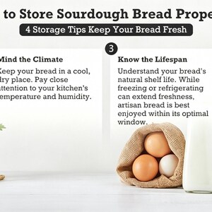 May include: An infographic titled How to Store Sourdough Bread Properly? with 4 Storage Tips Keep Your Bread Fresh. It lists four numbered steps: Cool Before Storing, Mind the Climate, Know the Lifespan, and Check & Refresh Regularly with text.