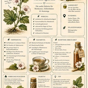 Herbal Book Volume 2 – Medicinal Plants, Flowers, Recipes and Home Remedies | Naturopathy & Medicinal Herbs PDF for Making Your Own Remedies image 6