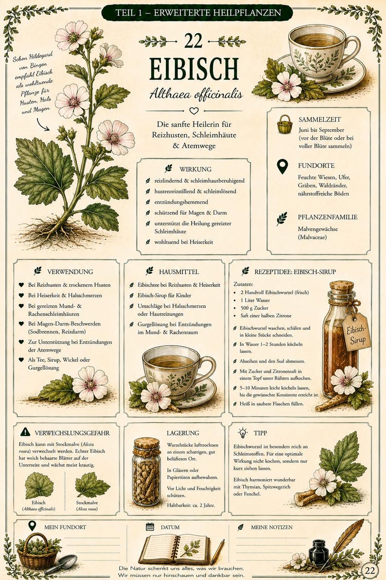 Herbal Book Volume 2 – Medicinal Plants, Flowers, Recipes and Home Remedies | Naturopathy & Medicinal Herbs PDF for Making Your Own Remedies image 6