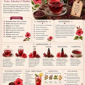 Herbal Book Volume 2 – Medicinal Plants, Flowers, Recipes and Home Remedies | Naturopathy & Medicinal Herbs PDF for Making Your Own Remedies image 8