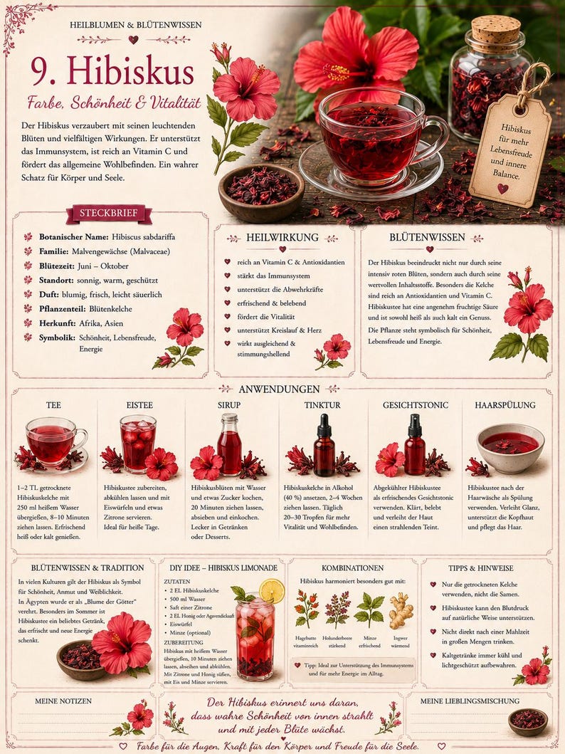 Herbal Book Volume 2 – Medicinal Plants, Flowers, Recipes and Home Remedies | Naturopathy & Medicinal Herbs PDF for Making Your Own Remedies image 8
