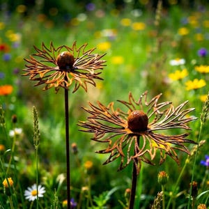 May include: Two decorative metal flower sculptures with a rusty brown finish. The flowers have intricate, cut-out petal designs and a spherical centre. They are set against a blurred background of a colourful flower garden.