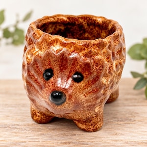 May include: A ceramic planter shaped like a hedgehog with a glossy, mottled brown and orange finish. The vessel features a textured, bumpy surface, two small black eyes, and a prominent black nose, with an open top for holding small plants.