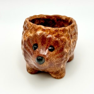Hedgehog Planter, Succulent Pot, Toothpick Holder, Match Holder, Air Plant Pot, Cute Gift