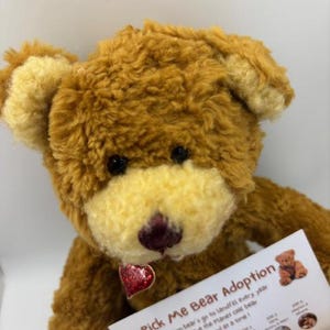 May include: A brown teddy bear with a cream-colored muzzle and black eyes. The bear has a red heart-shaped tag and holds a card that reads "Pick Me Bear Adoption". The bear is a soft toy.