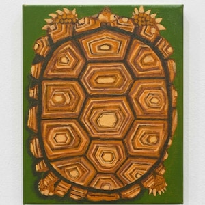 Può includere: Un dipinto di una tartaruga su sfondo verde. Il guscio della tartaruga è un motivo dettagliato di forme geometriche marroni e beige. Il dipinto è su una tela rettangolare.