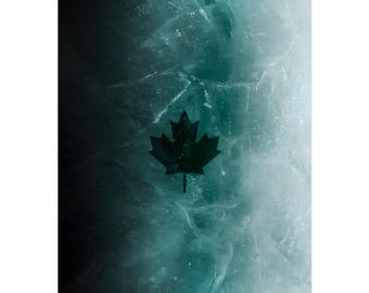 Calendario de pared de Rainbow Six Siege 2026