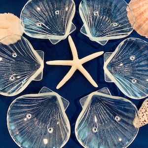 May include: A collection of clear glass seashell-shaped dishes arranged around a white starfish on a blue surface. Additional seashells are visible in the background, creating a coastal theme. The dishes have a detailed, textured design.