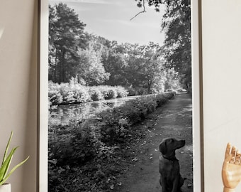 Black and White Labrador Dog Print | British Canal Towpath Photography Wall Art