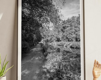 Canal Towpath Print Black and White | Basingstoke Canal Photography | British Countryside Wall Art