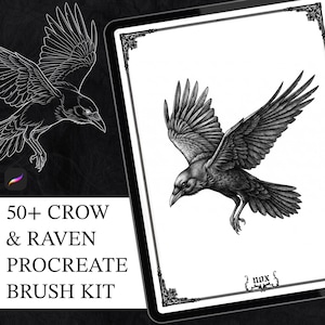 May include: A digital art set titled 50+ CROW & RAVEN PROCREATE BRUSH KIT featuring a tablet display with a detailed black and white illustration of a crow in flight, surrounded by an ornate border, with the word nox printed at the bottom.