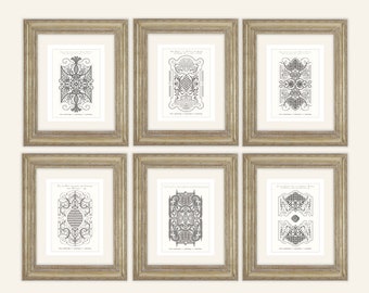 Set of 6 French Fancy Garden Plans 2  in Charcoal Archival Prints on Watercolor Paper