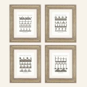 May include: Four framed black and white prints of different garden designs. Each print features a title in a serif font and a series of illustrations of trees, bushes, and hedges.