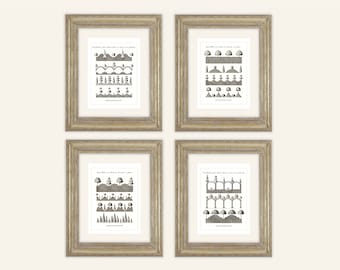 Set of 4 Sepia Topiary Garden Form Archival Prints on Watercolor Paper