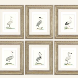 6 Set of Crane Sea Bird on Pale Blue Water Archival Quality Prints on Watercolor Paper