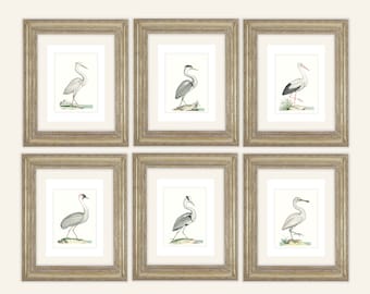 Kranich Vogel Kunstdrucke: 6er Set archivierte Aquarellbilder