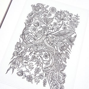 May include: Black and white floral illustration print featuring a detailed design of flowers, leaves, and a bird. The artwork is framed in a white mat, creating a classic and elegant presentation. The intricate linework adds depth and texture to the botanical theme.