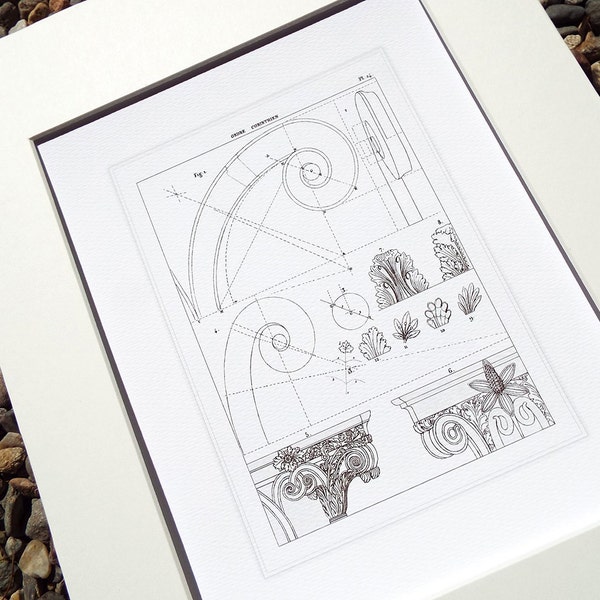 Architectural Print of Corinthian Capital Detail 5 on Heavy Watercolor Paper