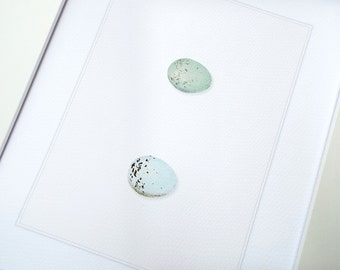 Pale Blue & Green Speckled Spring Egg Set of 2 Archival Quality Print