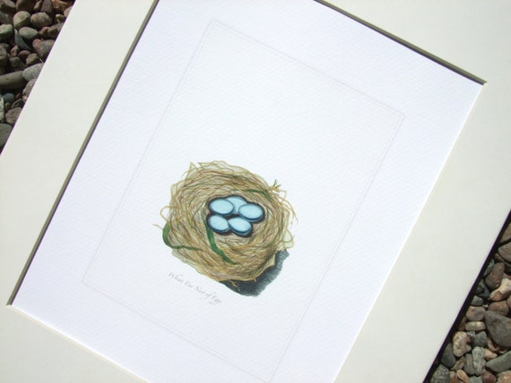鳥の巣と卵の4セット 春の自然主義者の絵 アーカイブ品質のプリント
