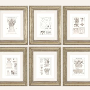 6 Set of Classical Architectural Corinthian Capital Detail Antique Illustration on Watercolor Paper
