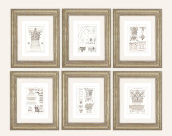 6 Set of Classical Architectural Corinthian Capital Detail Antique Illustration on Watercolor Paper