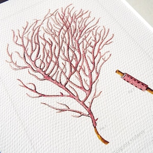 Dark Pink Sea Coral Fan 2 Naturalist Collection Archival Print on Watercolor Paper