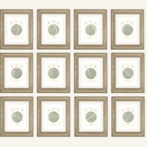12 Monate Sternenkarten in Blassgrün, Astronomie, Konstellation, Himmlischer Archival Druck auf Aquarellpapier