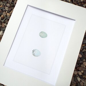 Pale Blue & Green Speckled Spring Egg Set of 2 Archival Quality Print