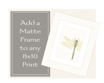 Matte Framing for 8 x 10 Prints