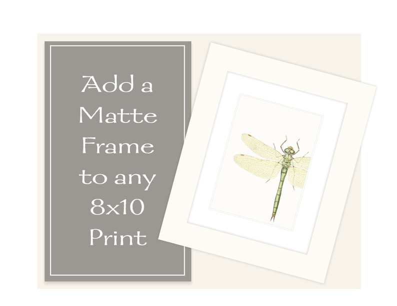 Matte Framing for 8 X 10 Prints Etsy