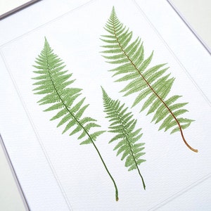 Botanical Fern Print 7 on Watercolor Archival Paper