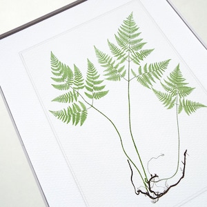 Botanical Fern Print 9 on Watercolor Archival Paper
