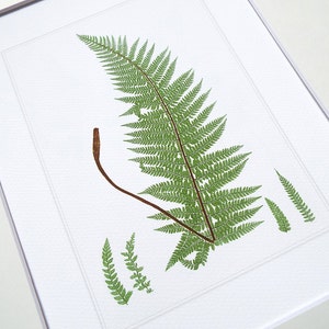 Botanical Fern Print 8 on Watercolor Archival Paper