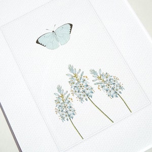 Illustrazione botanica Studio naturalistico di farfalla blu pallido e fiori Stampa di qualità d'archivio