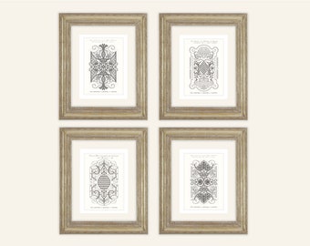 Set of 4 French Fancy Garden Plans in Charcoal Archival Prints on Watercolor Paper