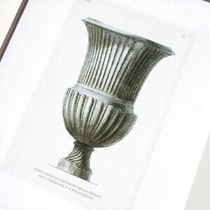 Op de afbeelding: Een zwart-witte illustratie van een grote, sierlijke stenen vaas. De vaas heeft een brede, ronde basis en een hoge, slanke hals. De tekst "Vaso antico esistente nella Piazza di S. Francesco a Palestrina" is onder de vaas gedrukt.