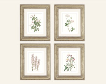 May include: Set of four framed botanical prints featuring delicate pink flowers and green leaves. The prints are in simple, ornate gold frames.