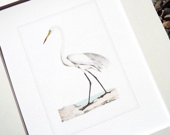 White Crane on the Sandy Beach with Pale Blue Water Fine Art Archival Print