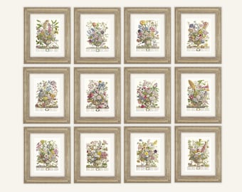12 ramos florales mensuales individuales de Robert Furber, impresiones de archivo sobre papel de acuarela