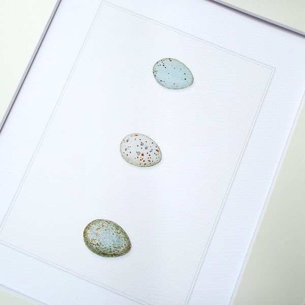 Pale Blue, Green & White Speckled Spring Egg Set of 3 Archival Quality Print