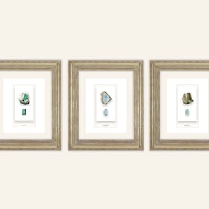 3 Set of Mineral Specimens & Gem Naturalist Drawing Archival Quality Prints