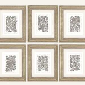 May include: Six framed art prints with intricate black and white floral and botanical designs. The prints are displayed in gold-colored frames with white matting. The artwork features detailed patterns of leaves, flowers, and other natural elements.