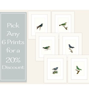 Any 6 Prints for a 20% Discount