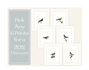 Any 6 Prints for a 20% Discount