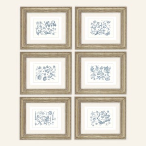 Set di 6 stampe d'archivio su carta per acquerello, raffiguranti botaniche, uccelli, farfalle e insetti, in grigio e blu.