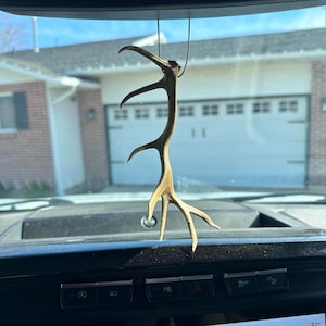 May include: A brown antler car charm suspended from a black string. The antler has multiple points and hangs in front of a car dashboard. The charm is a natural, rustic decoration.