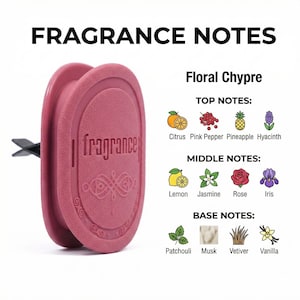 May include: A pink car air freshener with the word "fragrance" embossed on the front. The image also lists fragrance notes: citrus, pink pepper, pineapple, hyacinth, lemon, jasmine, rose, iris, patchouli, musk, vetiver, and vanilla.